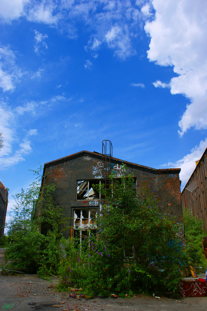 Conti Limmer - Blauer Himmel