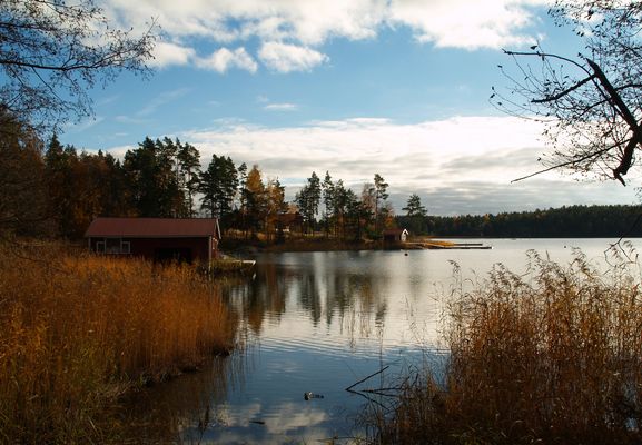 CONTINUACIÓN OTONAL