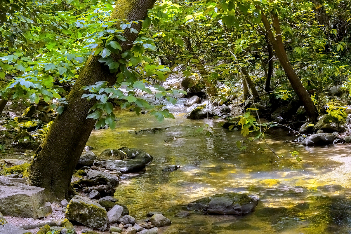 Continuons cette promenade dans la fraîcheur