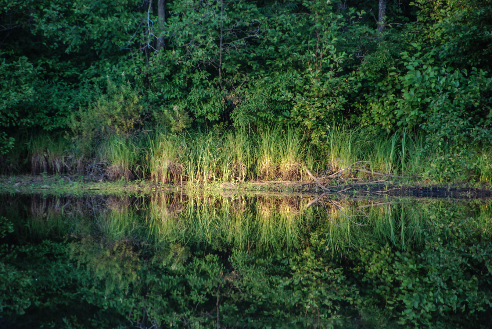 Continuous Greens