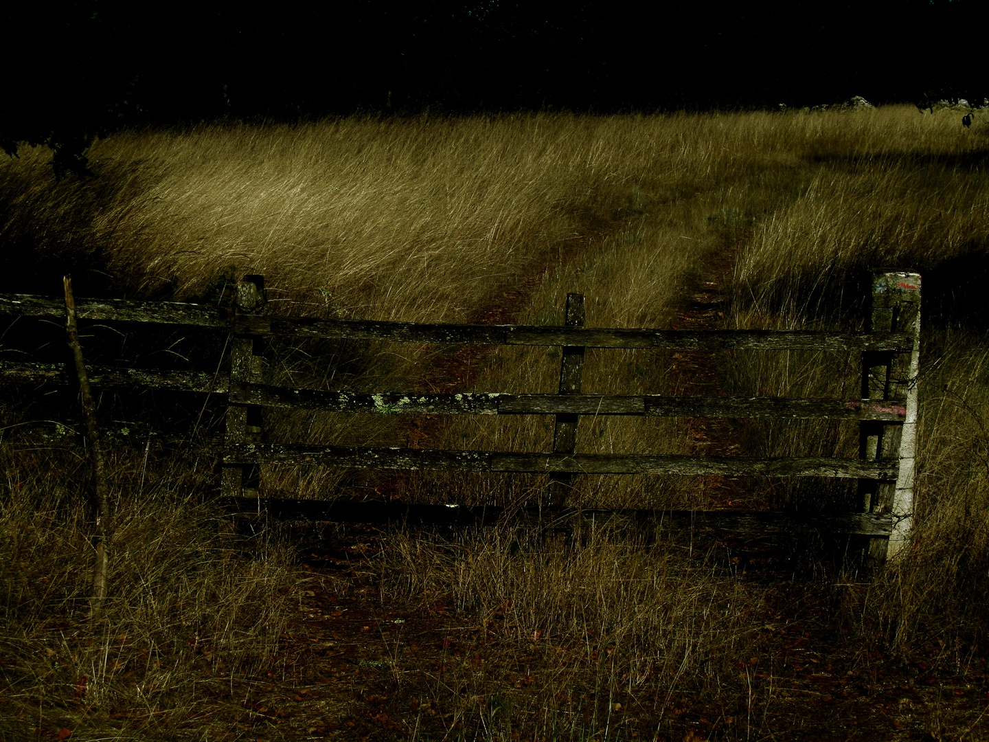 Contourner parfois des barrières pour trouver son chemin.