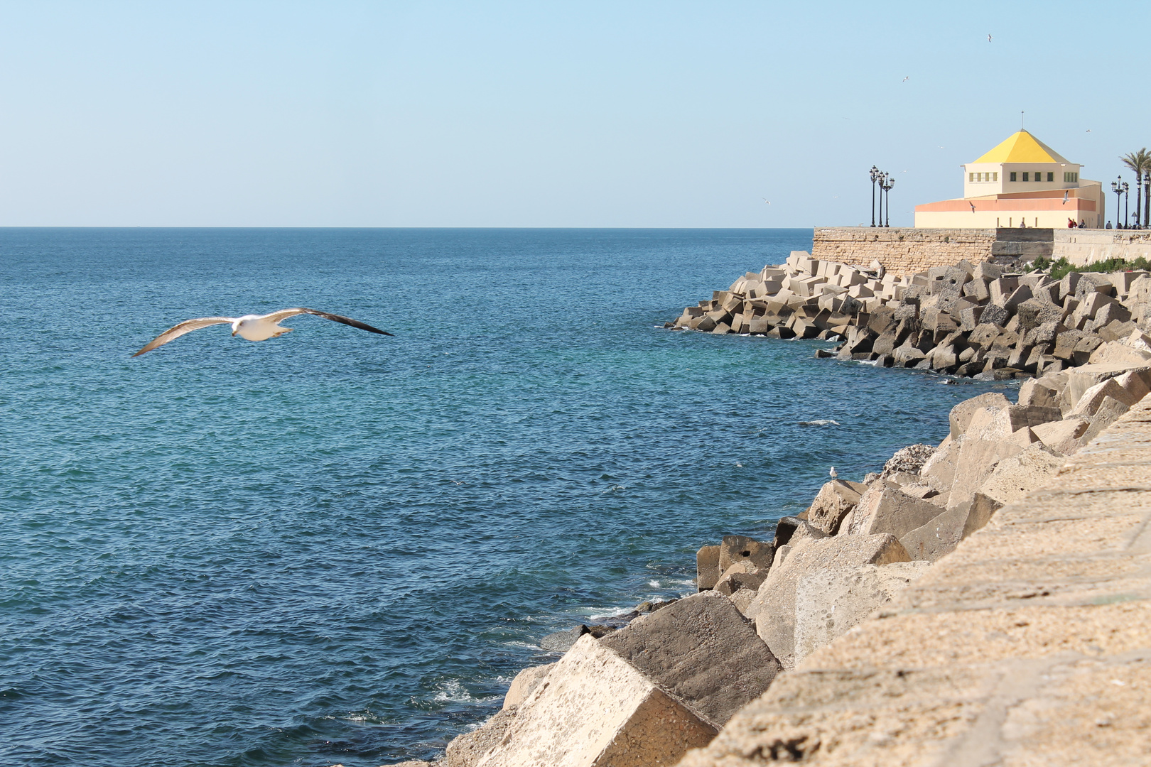 contra viento y marea