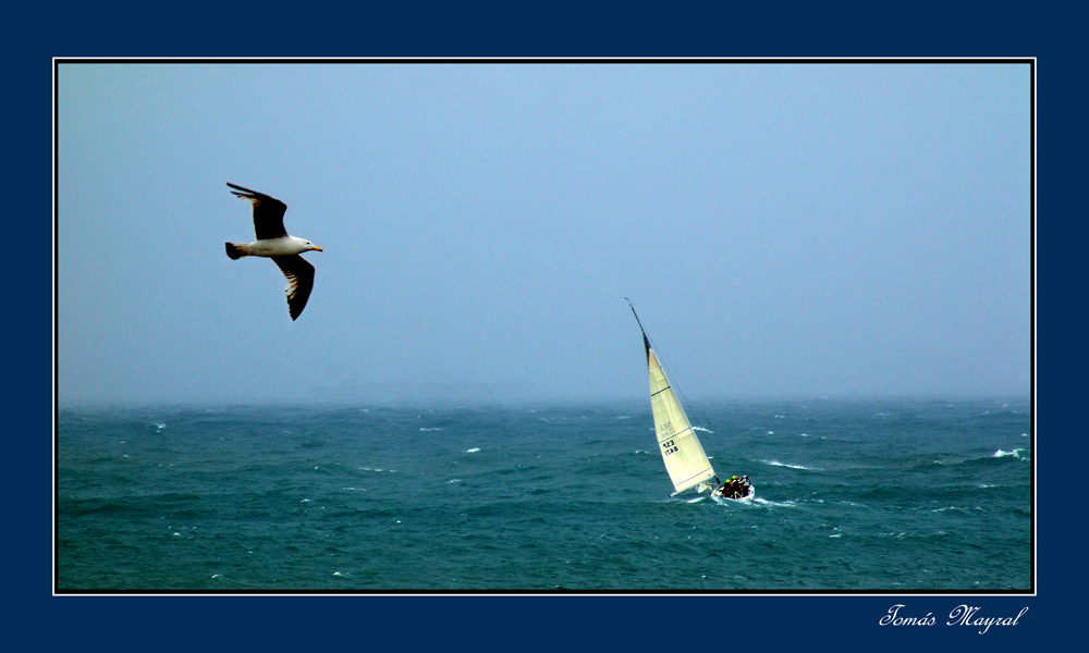 Contra Viento y Marea