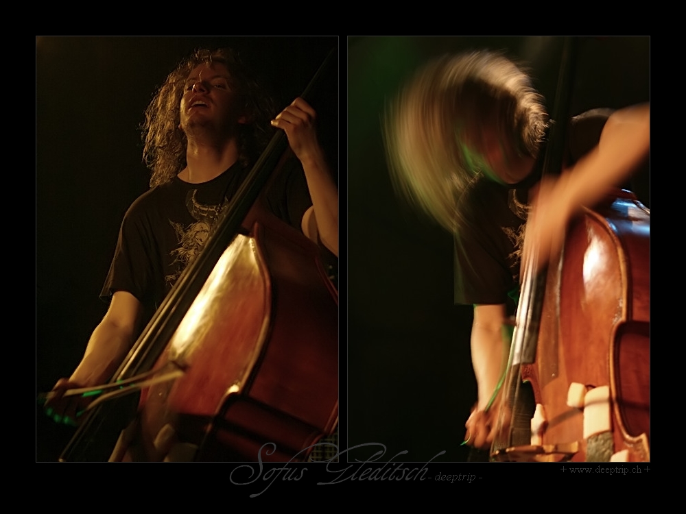 contrabass