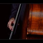 " Contrabass-II "