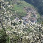 contrada in lessinia