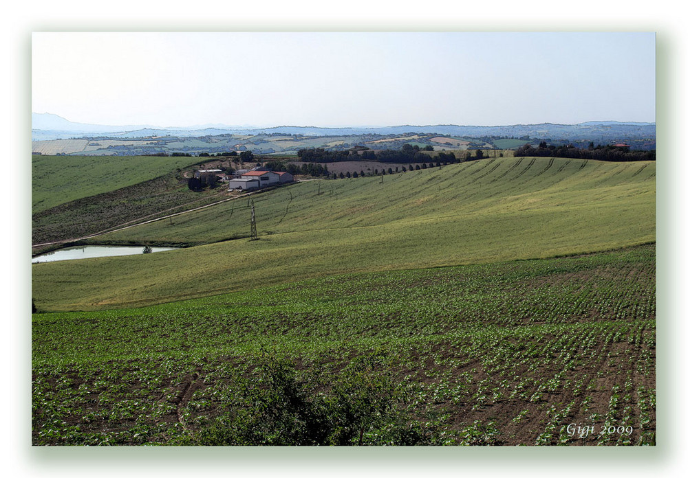 Contrada Picciano in Primavera