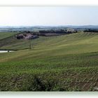 Contrada Picciano in Primavera