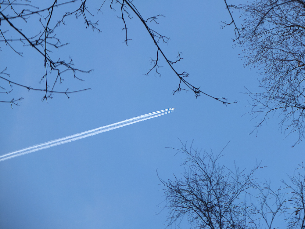 Contrail