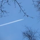 Contrail