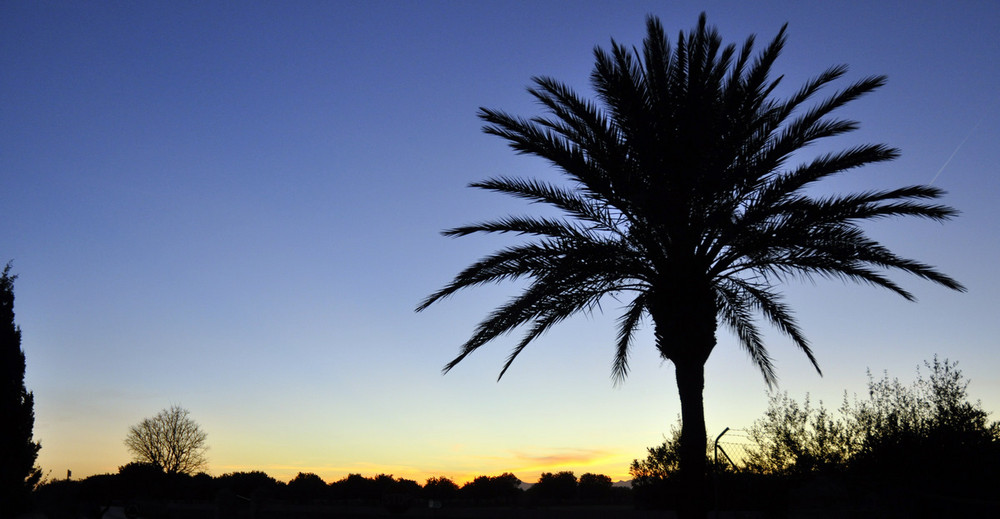 Contrallum a Mallorca