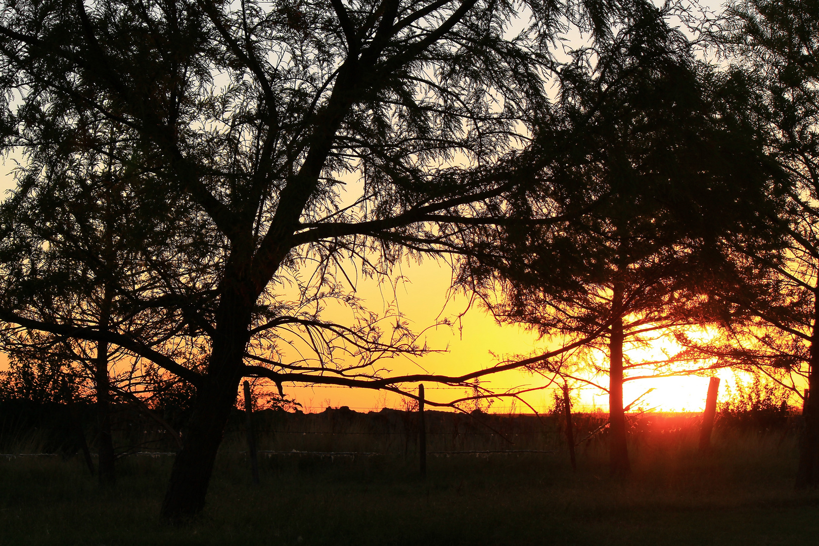 Contraluz de un atardecer