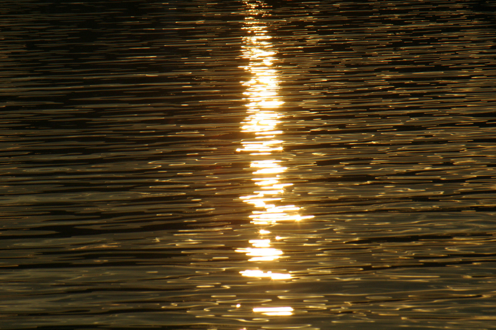 Contraluz en el puerto de Bueu