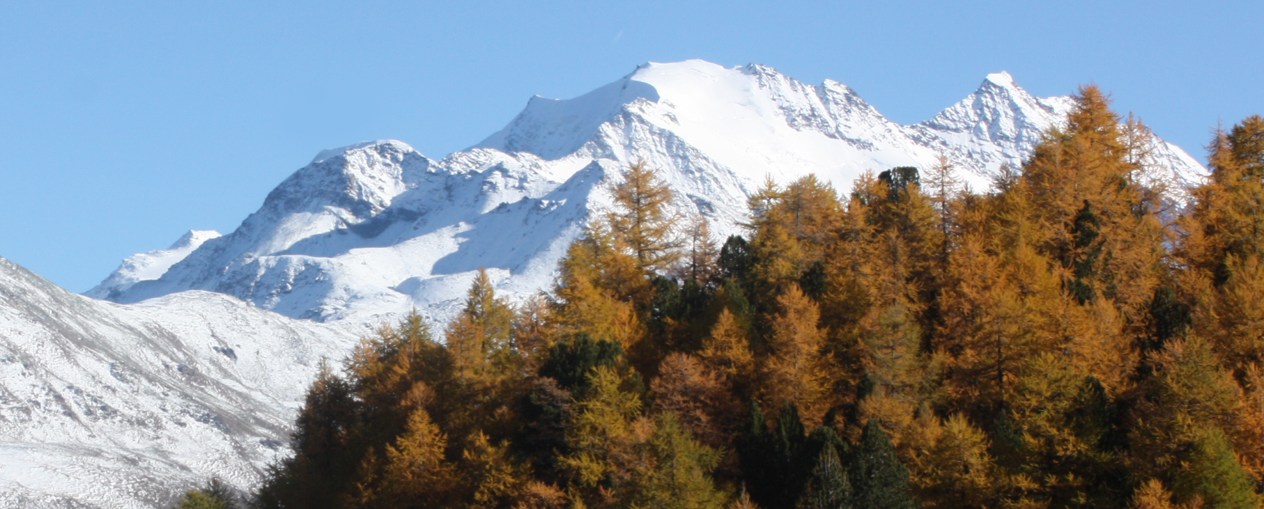 contraste d'automne