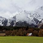 Contraste de couleurs...chute de neige cette nuit au-dessus de 1500m sur le Champsaur... 