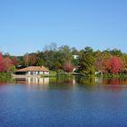 Contrastes d'automne autour du lac