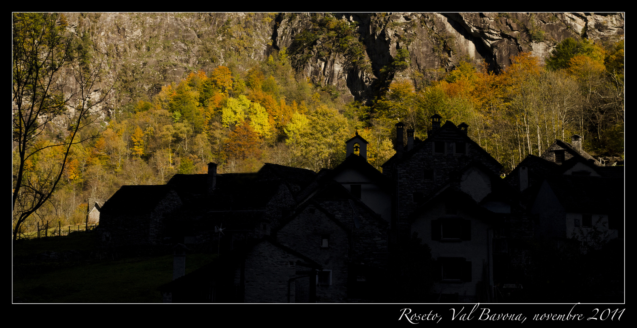 Contrasti d'autunno