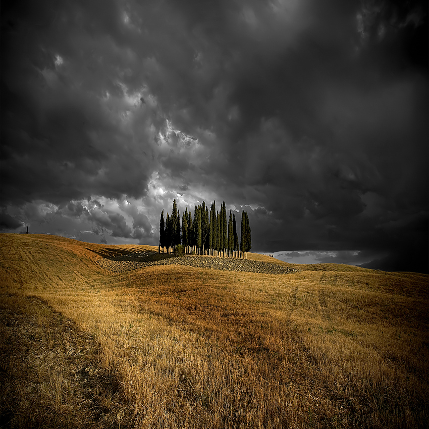 Contrasts and colors of a summer afternoon in Tuscany ..