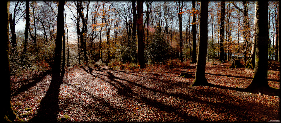 contre jour 2