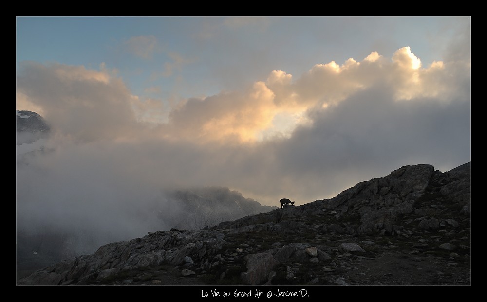 contre jour