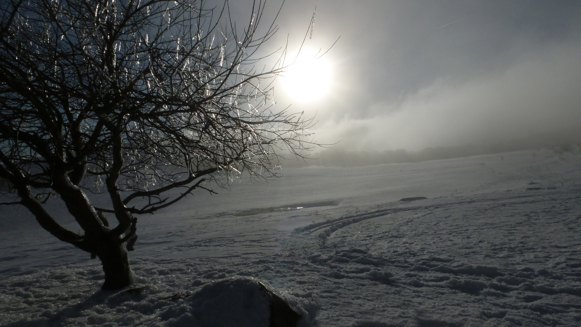 Contre-jour