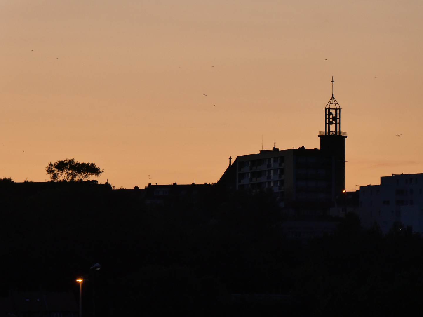 Contre-jour