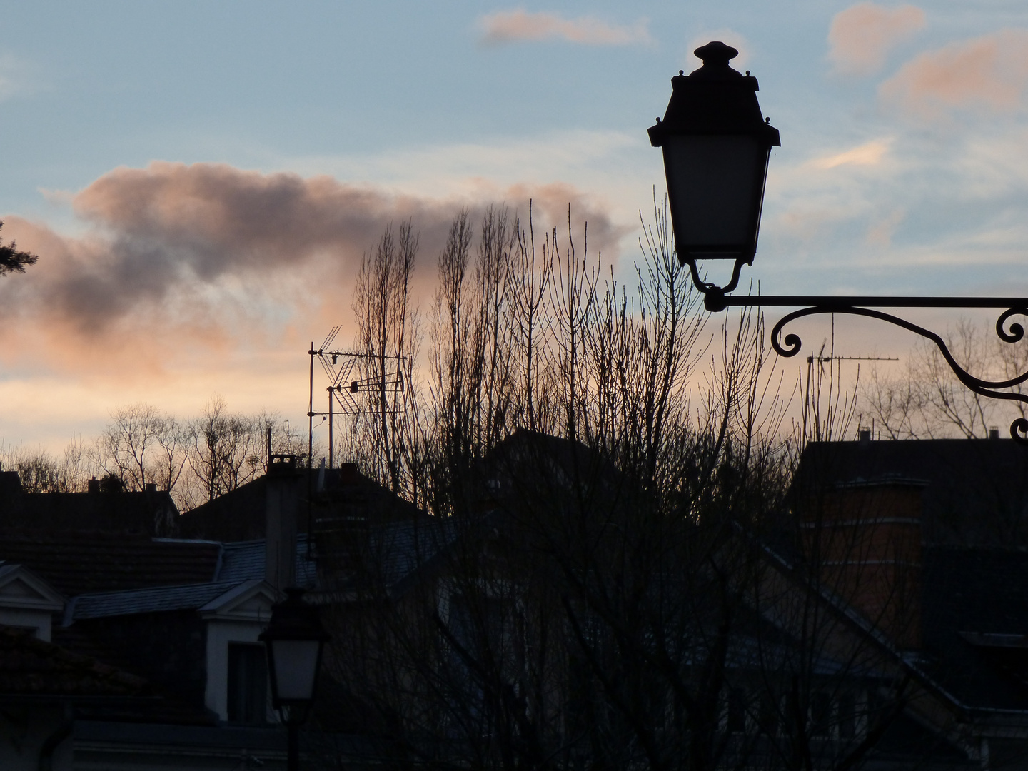 contre jour