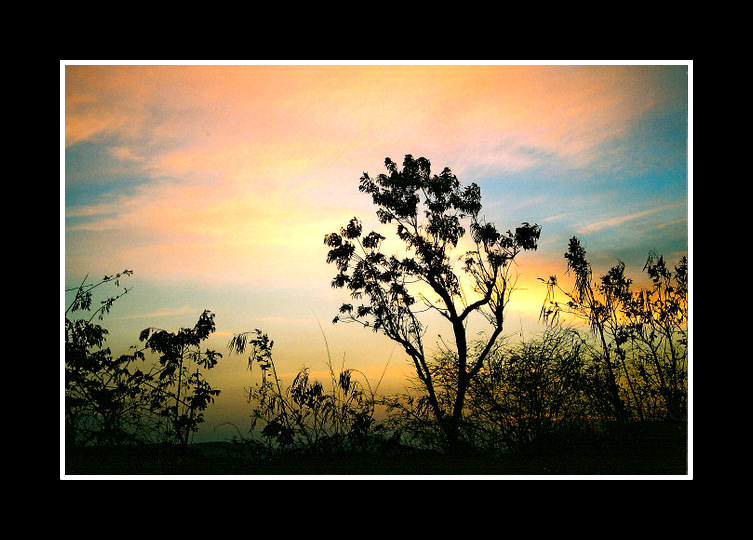 Contre-jour