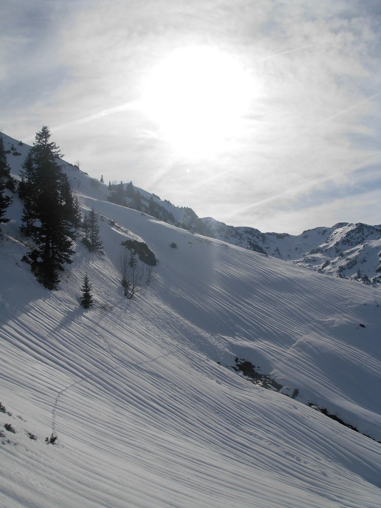 Contre jour dans la neige