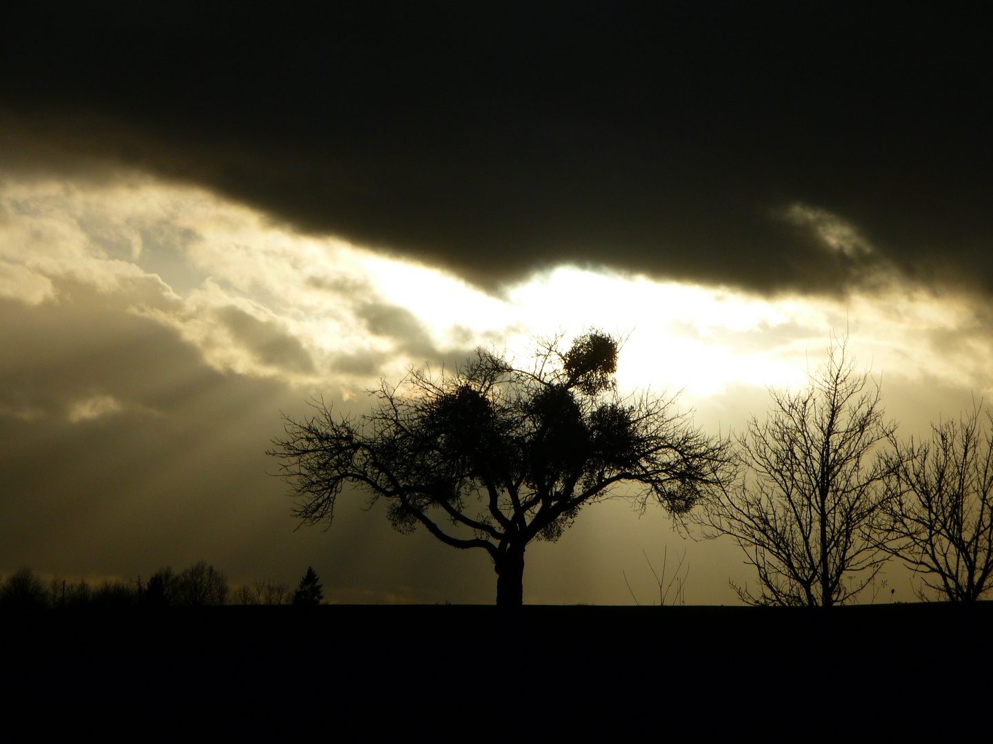 contre jour