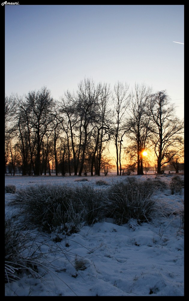 Contre-jour décalé.