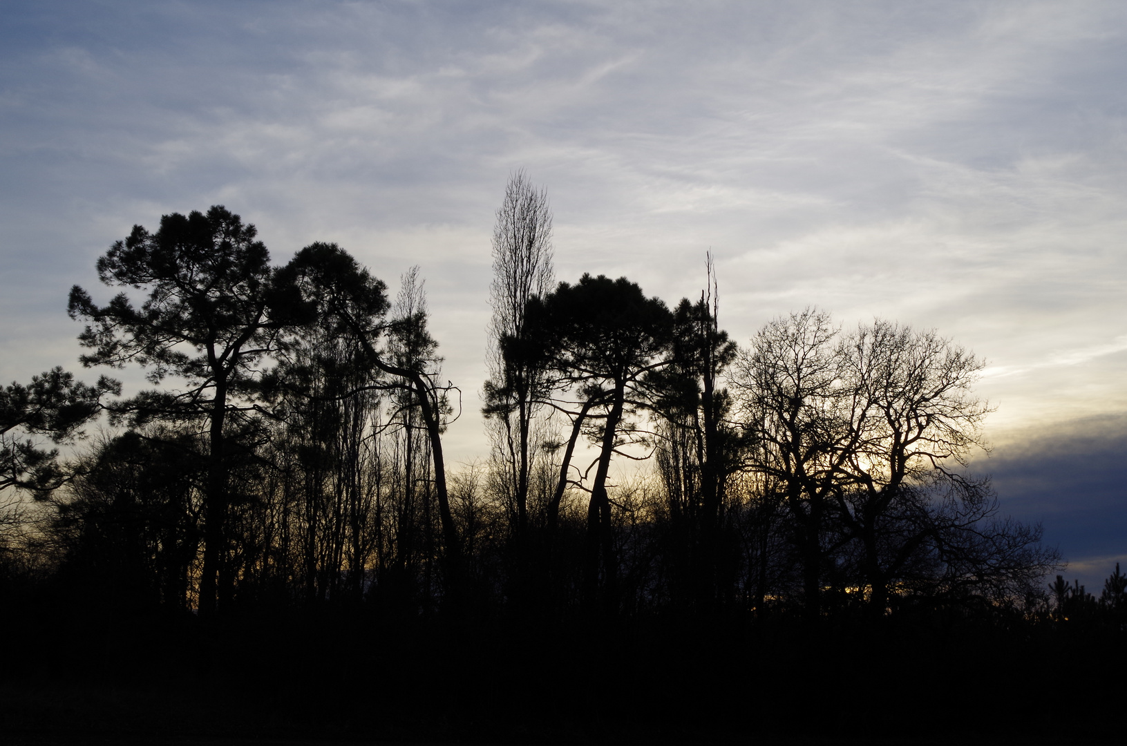 contre-jour - Drôme 2013