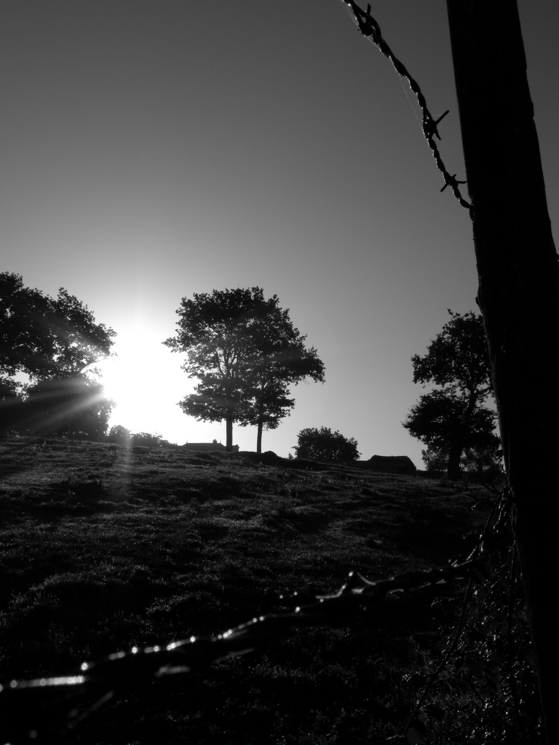 contre jour du matin