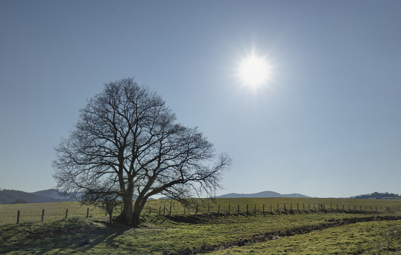 contre jour