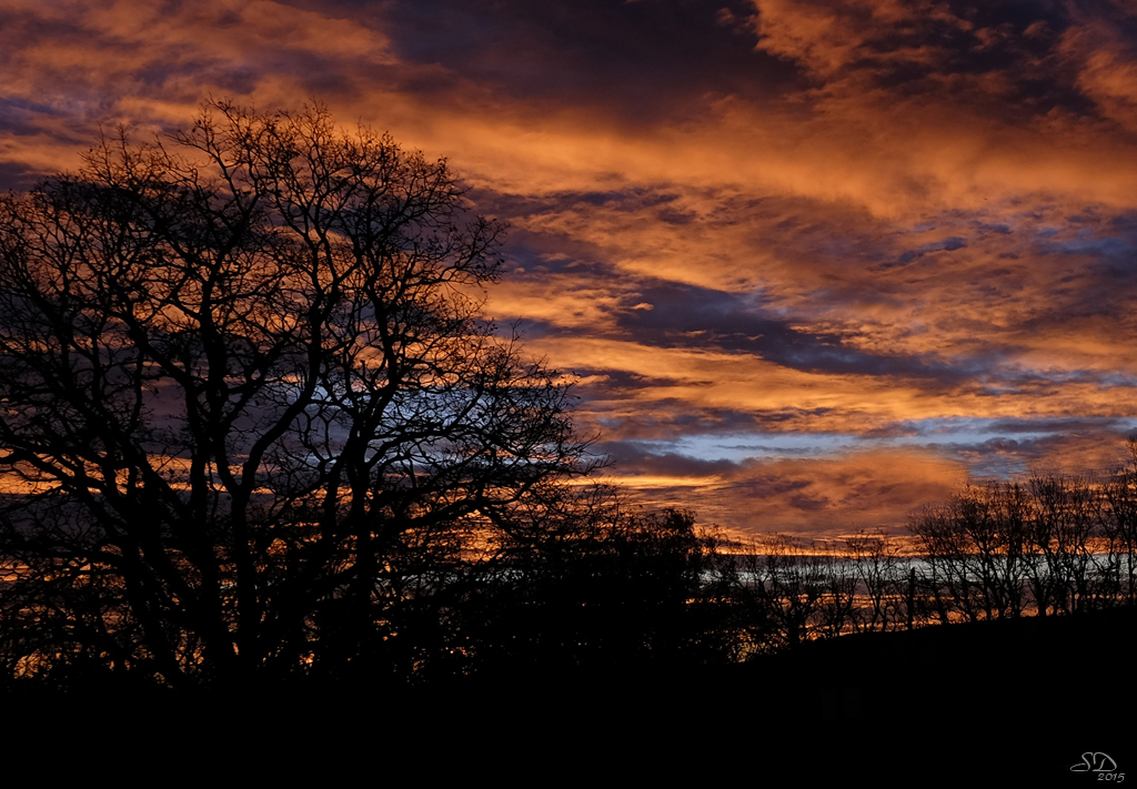 Contre-jour Matinal