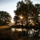 Contre jour matinal