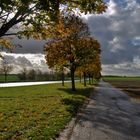 Contre jour sur la contre allée