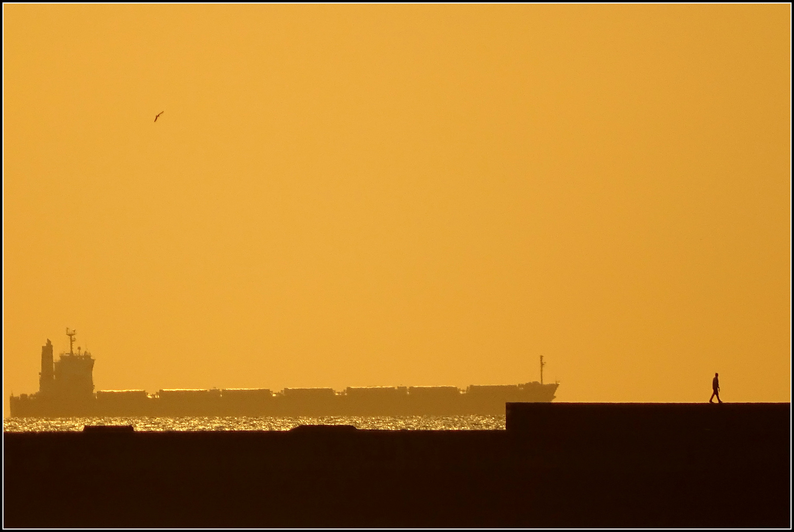 Contre-jour sur la digue