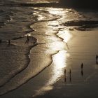 Contre-jour sur la plage d’Olhos de Agua