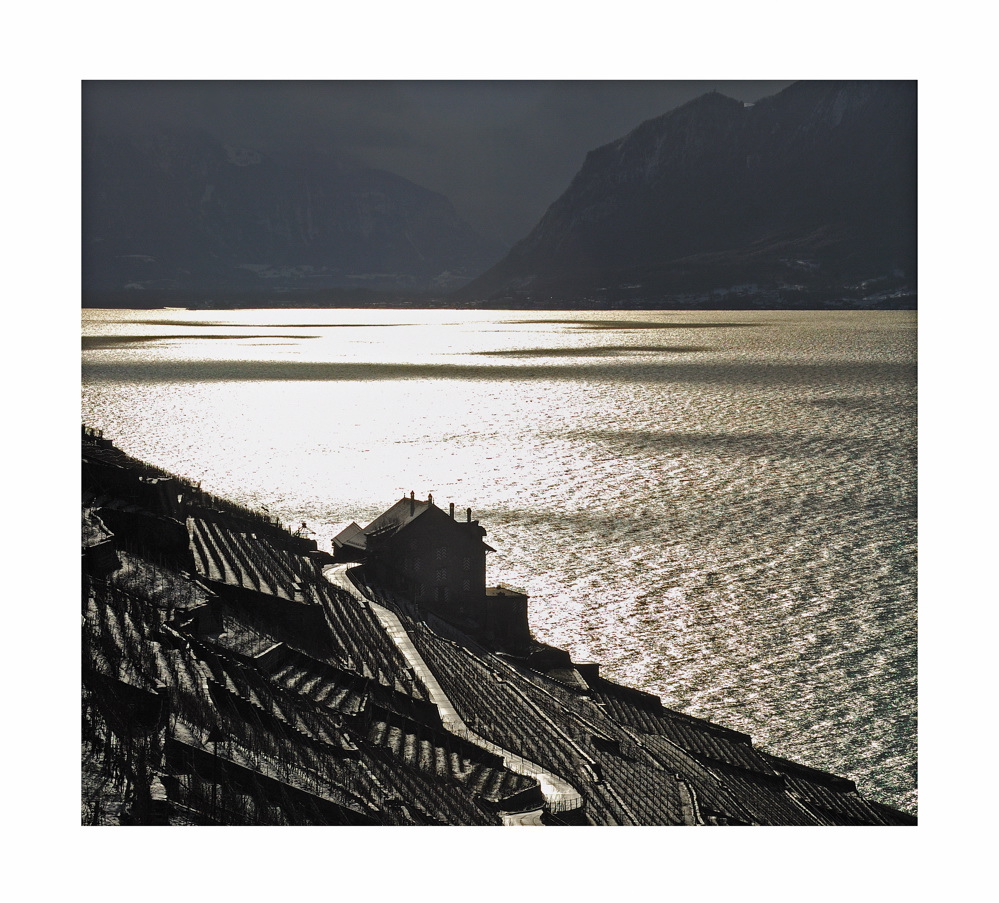 Contre jour sur le Chablais depuis les vignes de Lavaux