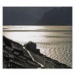 Contre jour sur le Chablais depuis les vignes de Lavaux