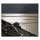 Contre jour sur le Chablais depuis les vignes de Lavaux