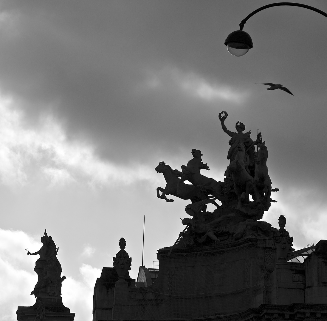 Contre jour sur le Grand Palais