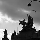 Contre jour sur le Grand Palais