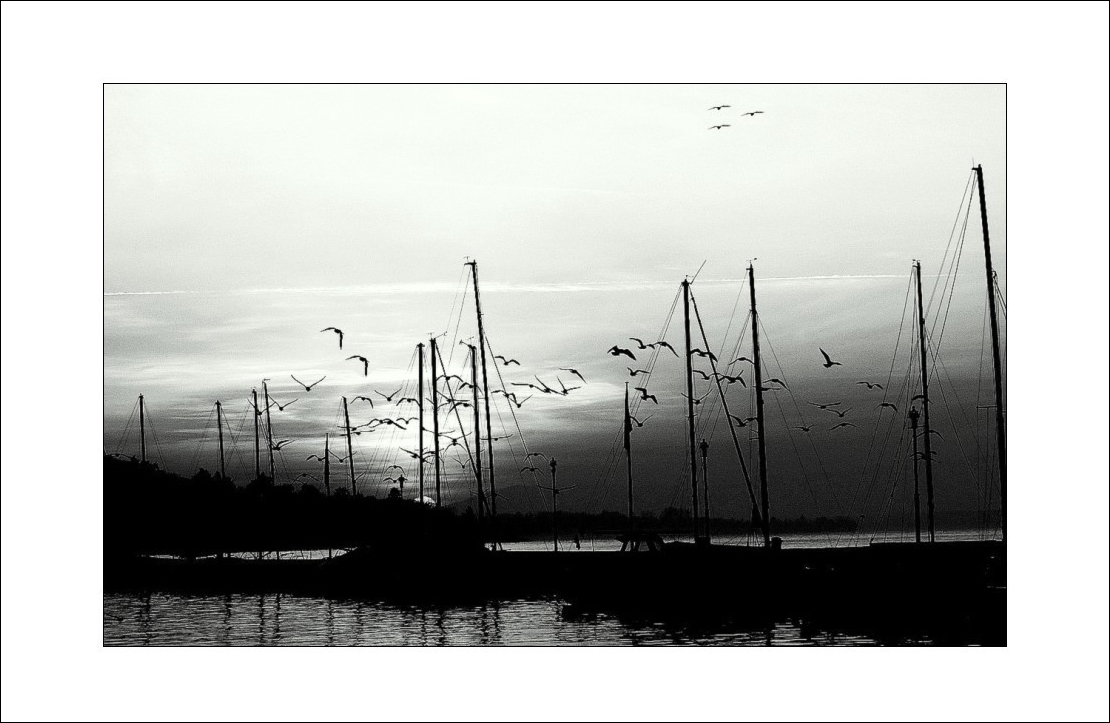 Contre-jour sur le Léman