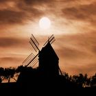 Contre jour sur le moulin de Collioure