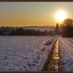 Contre jour sur Pince vent