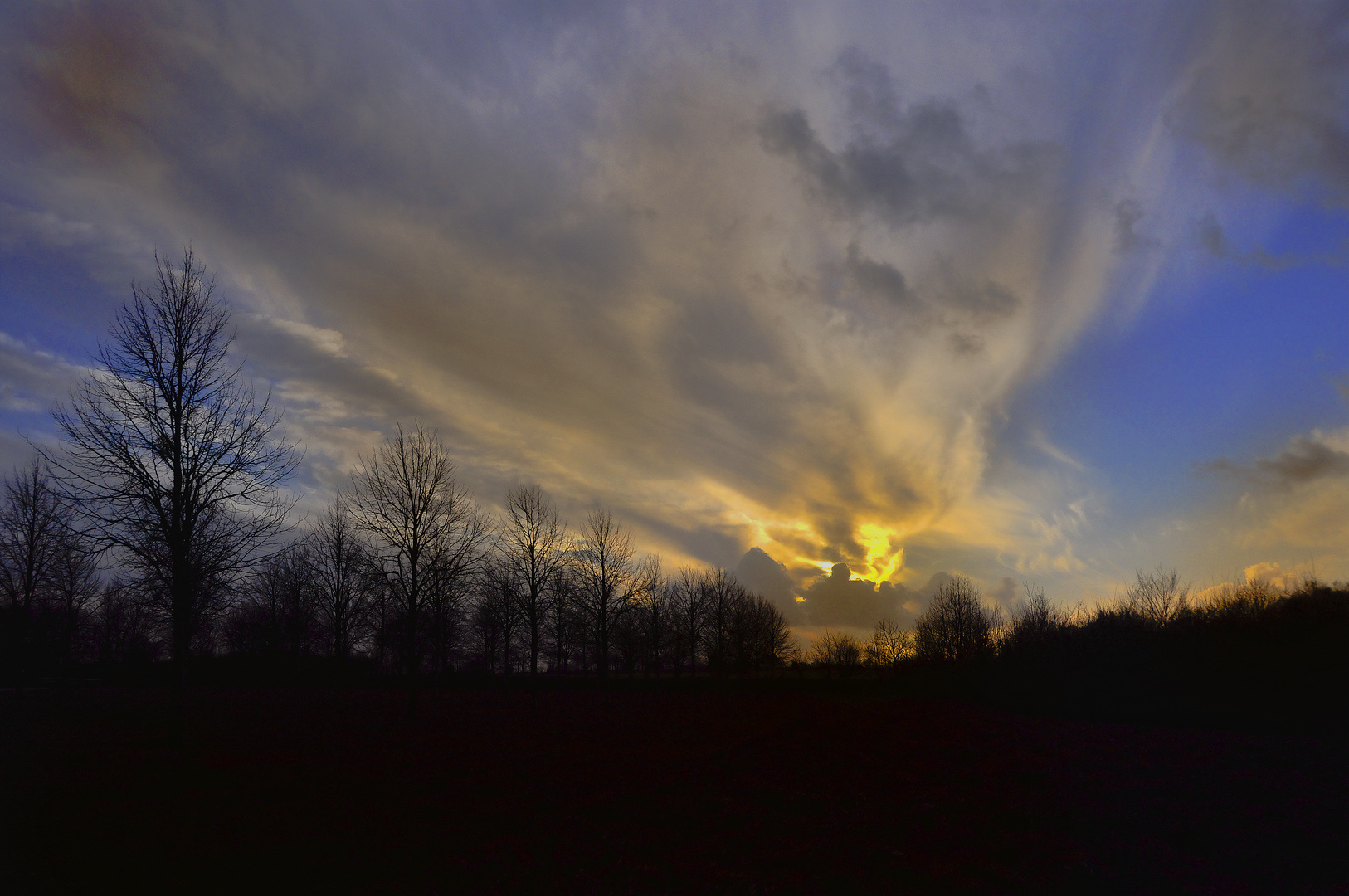 Contre jour sur terre