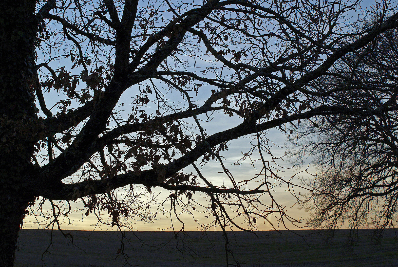 Contre-jour vespéral