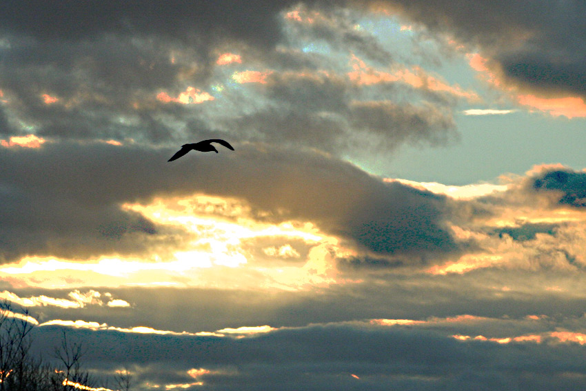 Contre vent et nuage